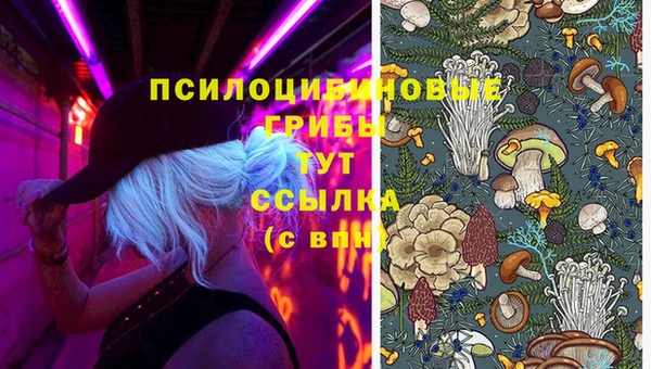 индика Сафоново