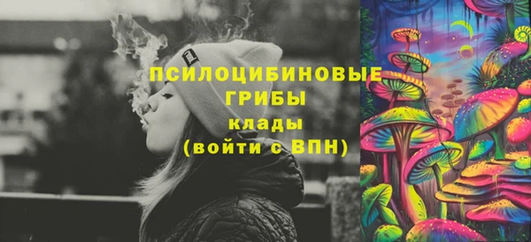 PSILOCYBIN Саяногорск
