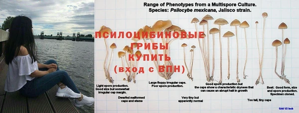 эйфоретик Балабаново